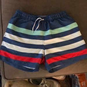 Chubbies swimming trunks medium